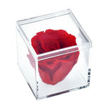 SC CRYSTAL Ecrin décoré d'une rose éternelle stabilisée - rouge