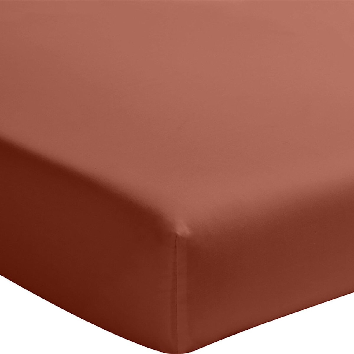 BATON ROUGE Drap housse en percale de coton