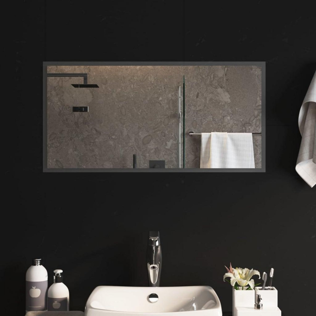 VIDAXL Miroir de salle de bain a LED 40x80 cm