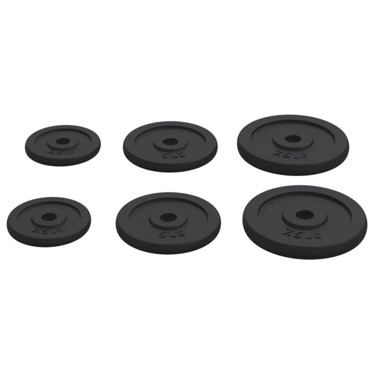 VIDAXL Plaques de poids 6 pcs 30 kg Fonte