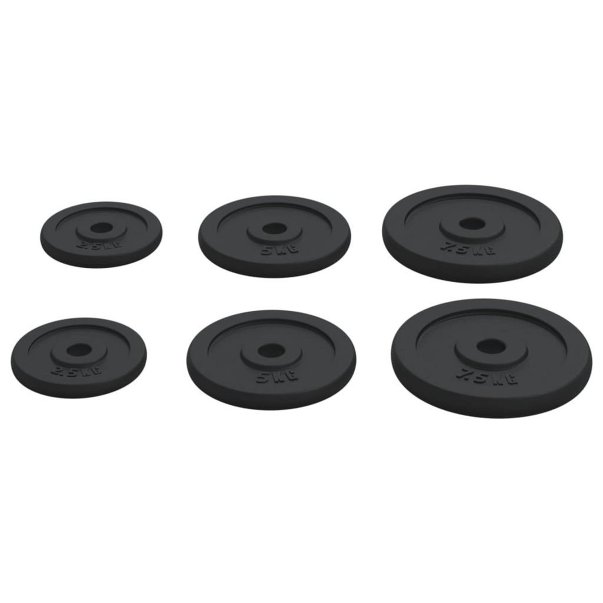VIDAXL Plaques de poids 6 pcs 30 kg Fonte