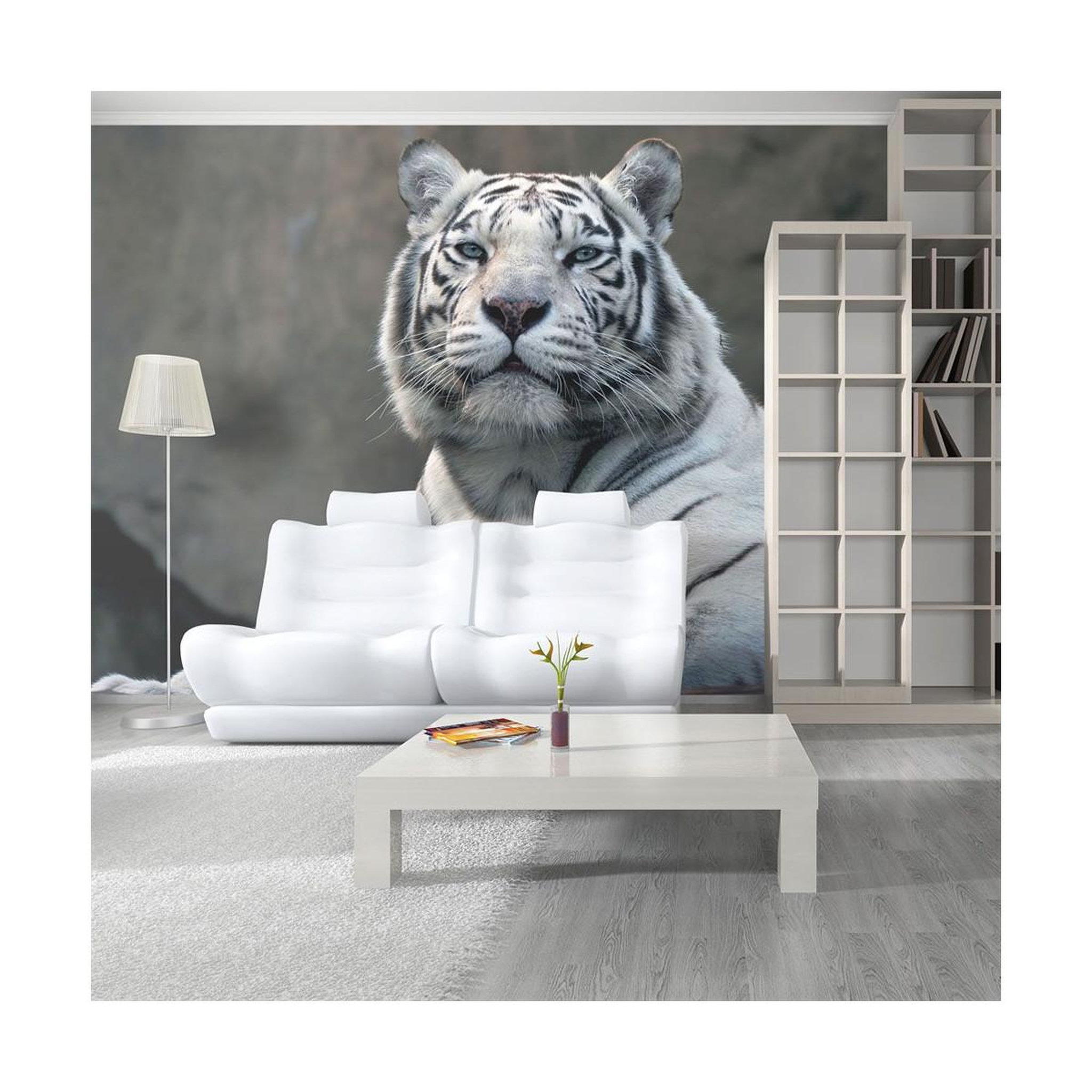 Voir la diapositive 1 : Paris Prix Papier Peint  Tigre du Bengale au Zoo