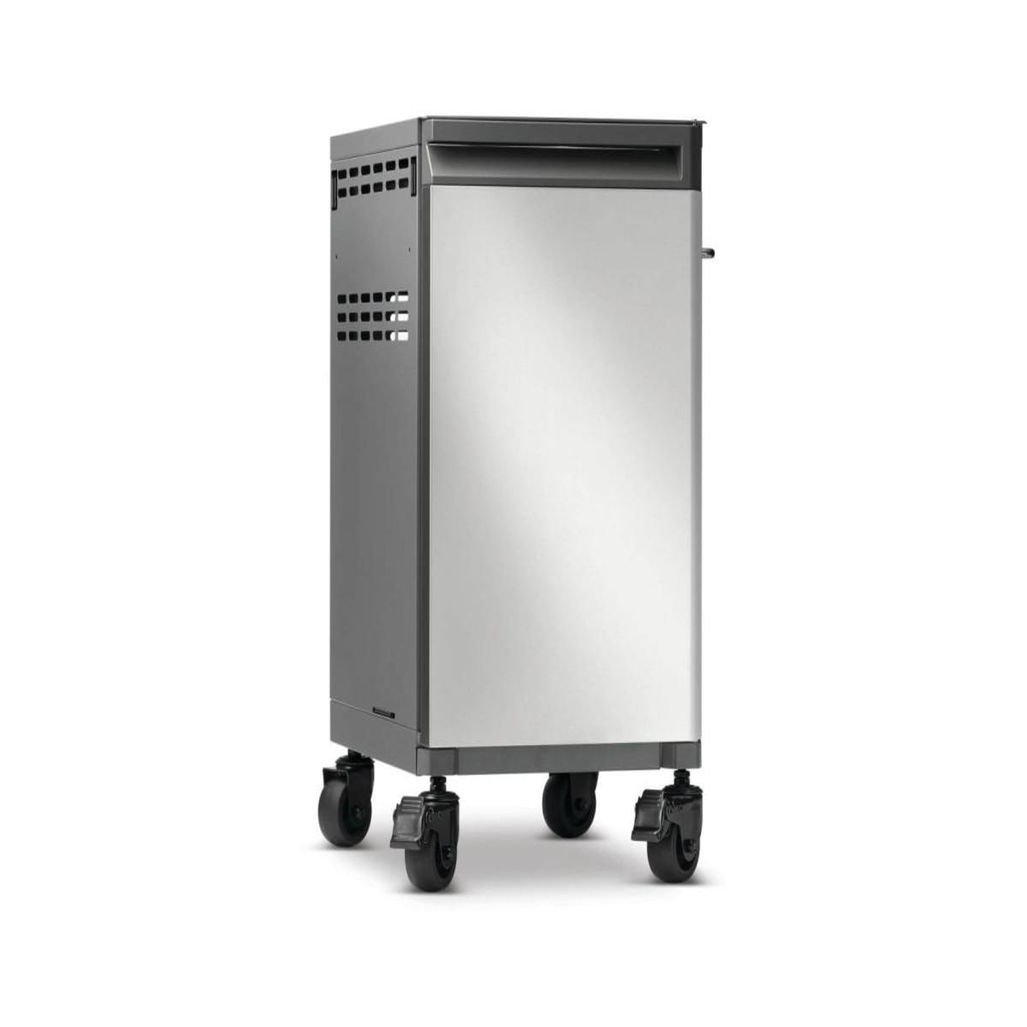 Voir la diapositive 5 : NAPOLEON 2 meubles de rangement sous la tablette bbq prestige inox - napoléon