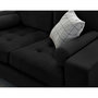 Voir la diapositive 3 : LISA DESIGN Isaure - canapé droit 2 places en velours