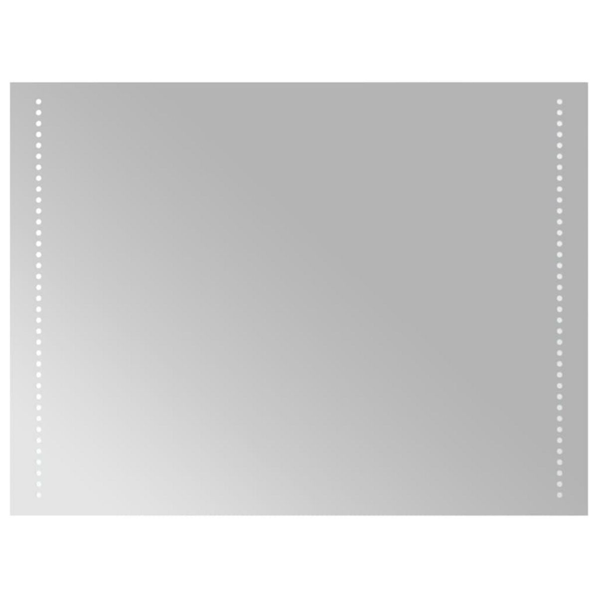 VIDAXL Miroir de salle de bain a LED 60x80 cm