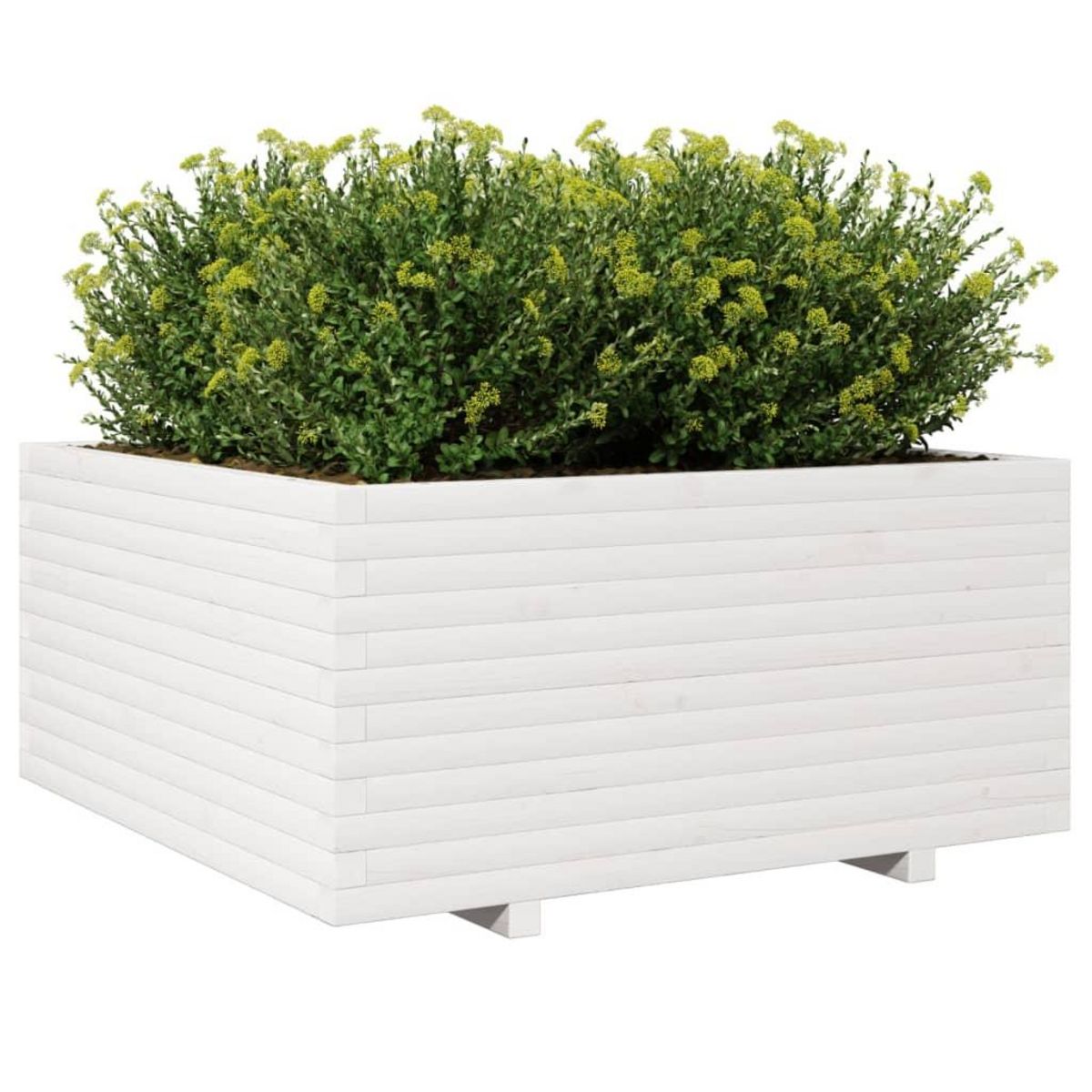 VIDAXL Jardiniere blanc 100x100x49,5 cm bois de pin massif