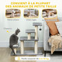 Voir la diapositive 6 : PAWHUT Escalier pour chat 4 marches - 8 poteaux griffoirs, jeu boule suspendue - sisal peluche gris