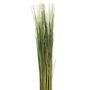 Voir la diapositive 4 : ATMOSPHERA Fagot d'herbes artificielles - 79 cm