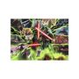 Voir la diapositive 2 : RAVENSBURGER Ravensburger - Jigsaw puzzle Star Wars Villainous Asajj Ventress, 1000 pcs. 120002697