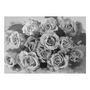 Voir la diapositive 2 : Paris Prix Papier Peint  A Dozen Roses