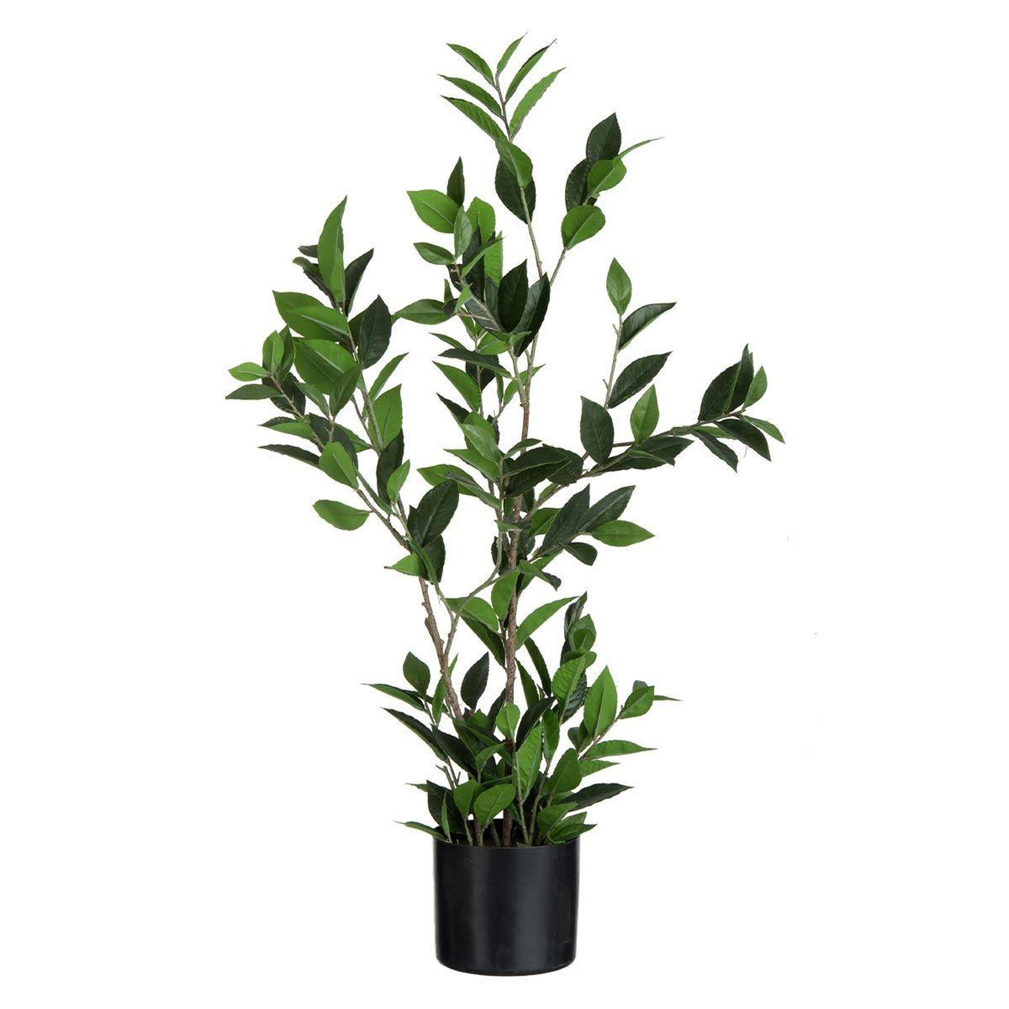 J-LINE Plante artificielle en pot  laurier  90cm vert