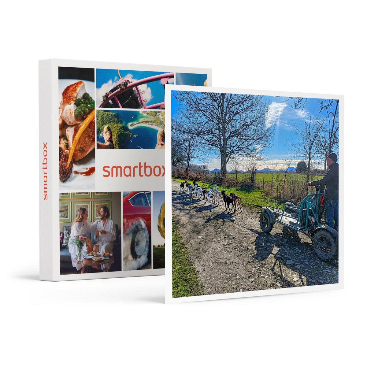 Smartbox Aventure insolite en famille : 1h de balade en Cani-Kart près de Clermont-Ferrand - Coffret Cadeau Sport & Aventure