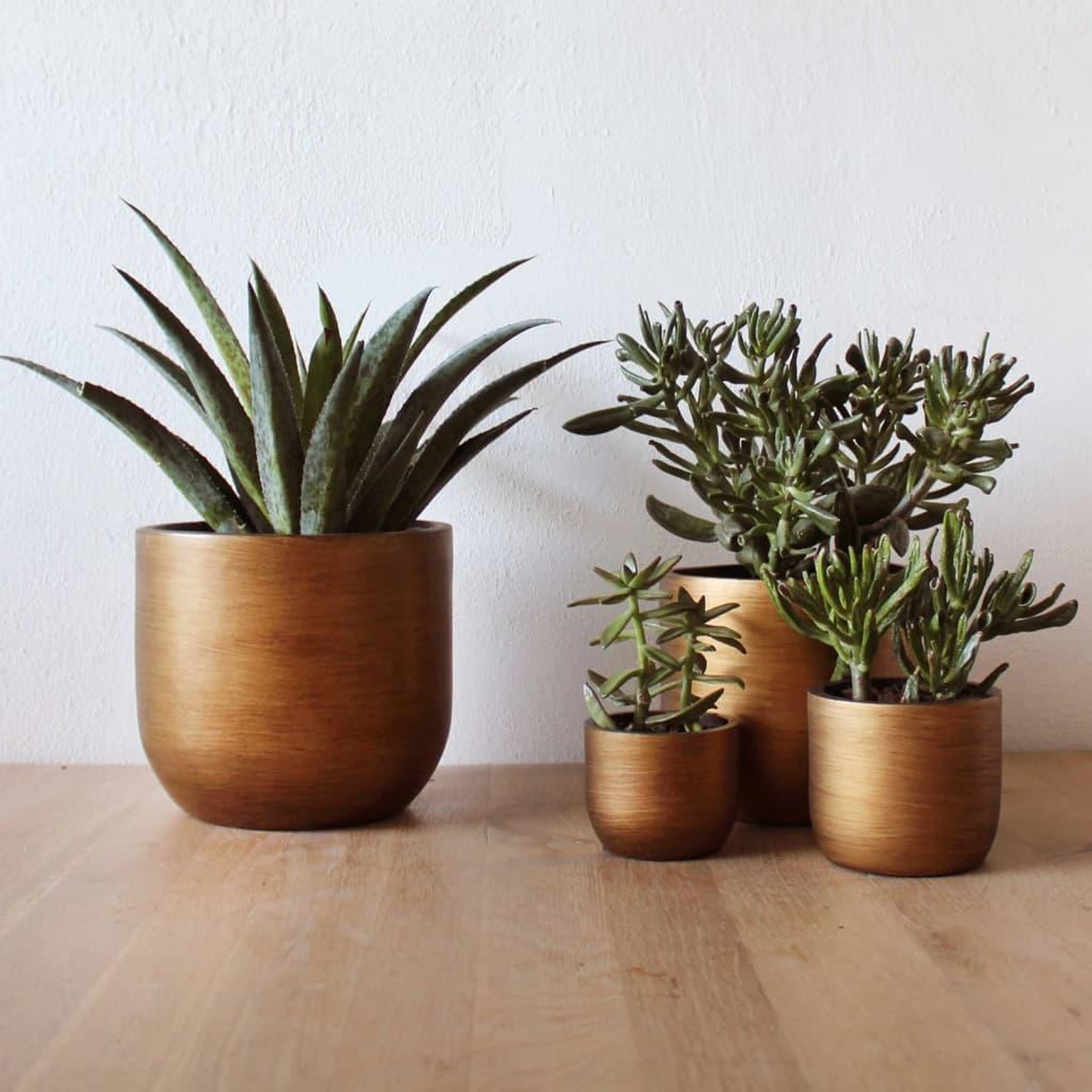 Voir la diapositive 3 : CAPI Capi Ensemble de jardiniere 4 pcs Lux Retro Dore