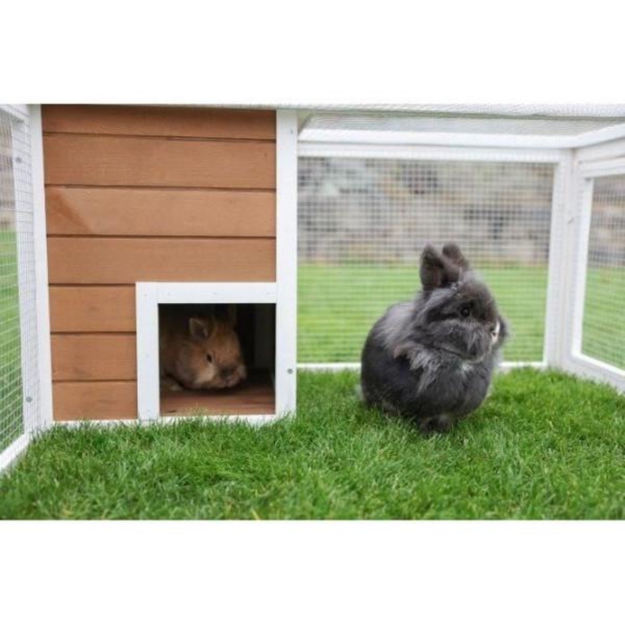 Voir la diapositive 3 : KERBL KERBL - Enclos d'extérieur petits animaux - 132 x 102 x 59 cm - Maison intégrée - Grillage