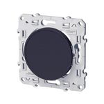 Schneider Electric Obturateur Odace, gris anthracite