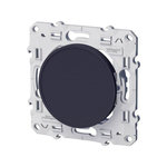 Schneider Electric Obturateur Odace, gris anthracite