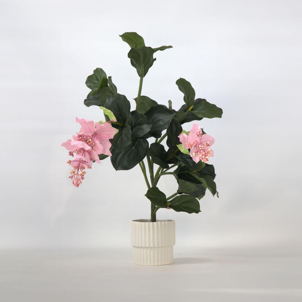 PLANT IN A BOX Medinilla Magnifica artificielle - Hauteur 85cm