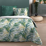 STOF Housse de couette 240x220 finition rabat + 2 taies coton 57 fils