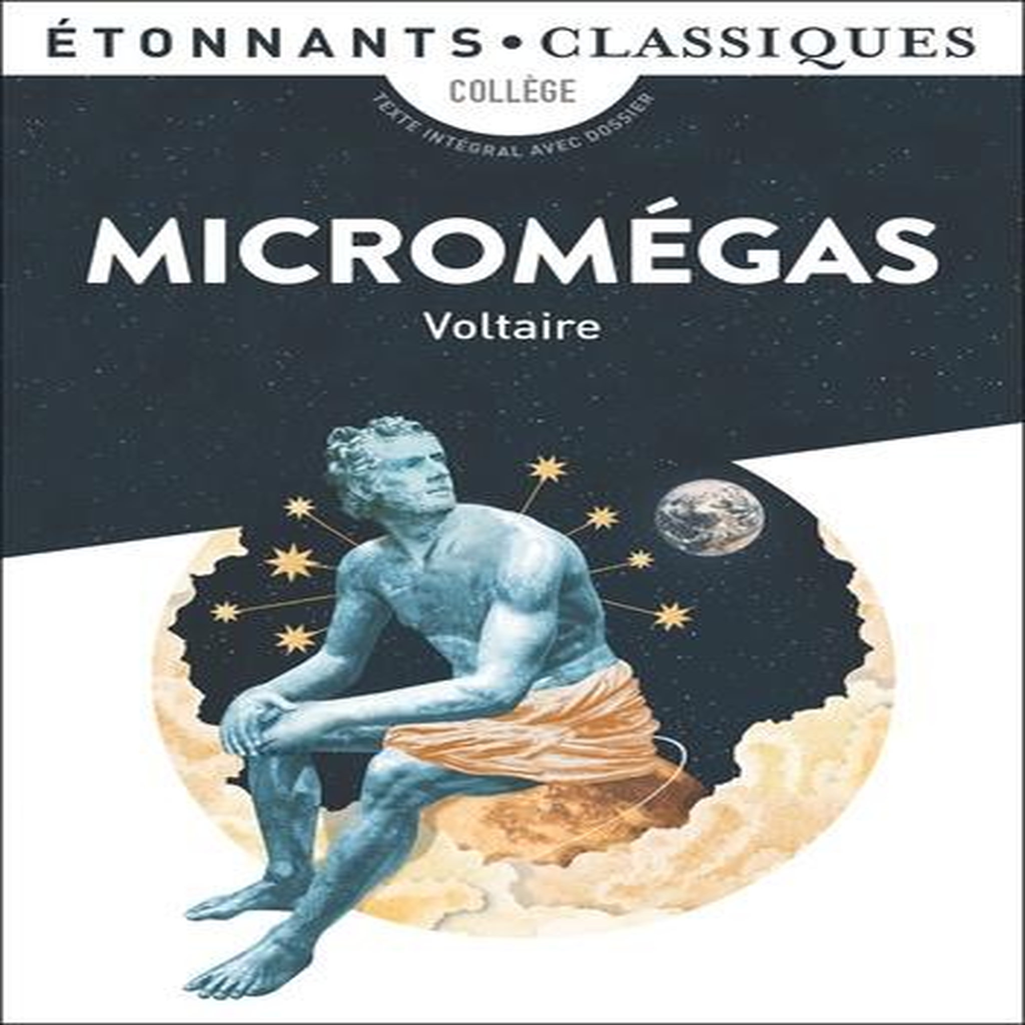 MICROMEGAS, Voltaire