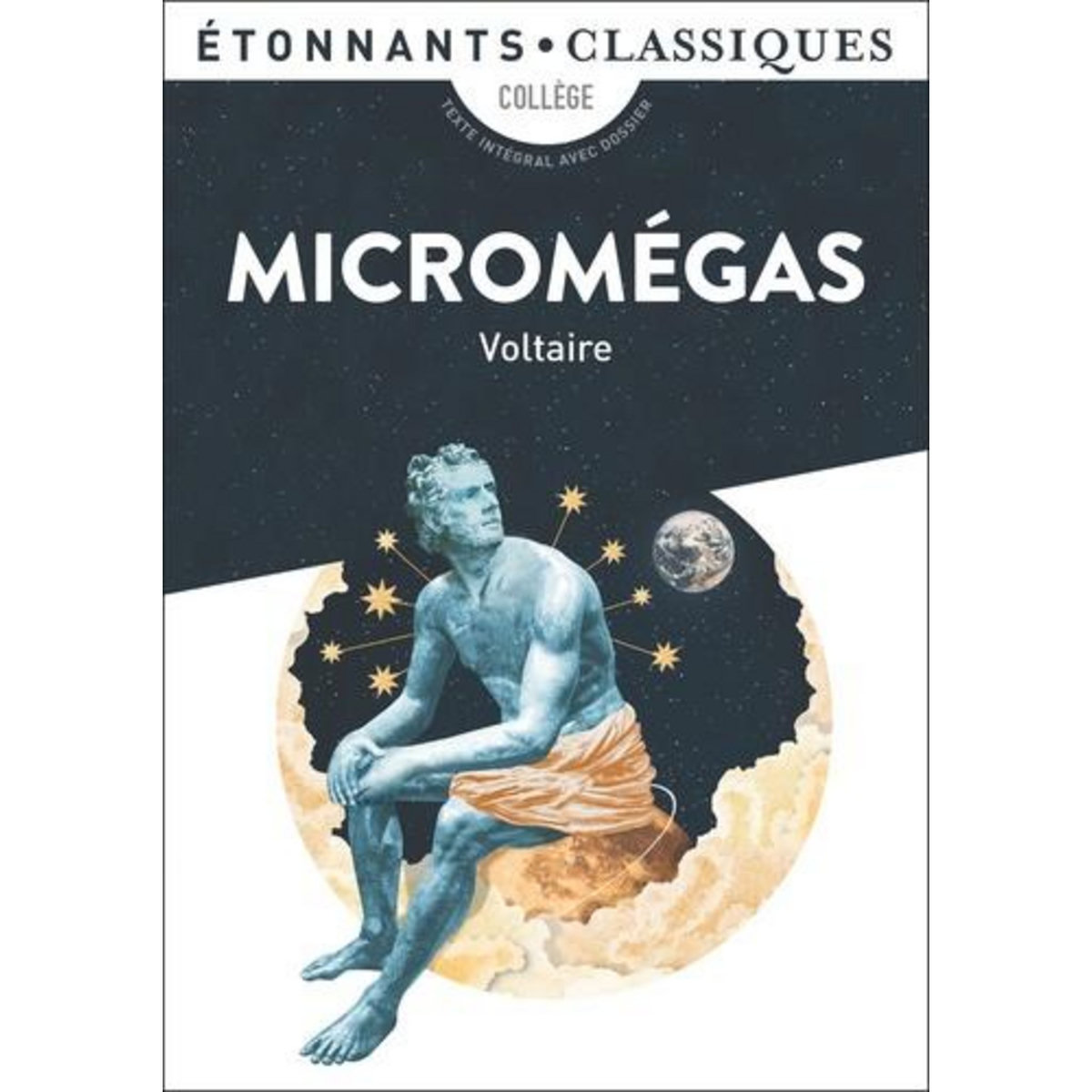 MICROMEGAS, Voltaire
