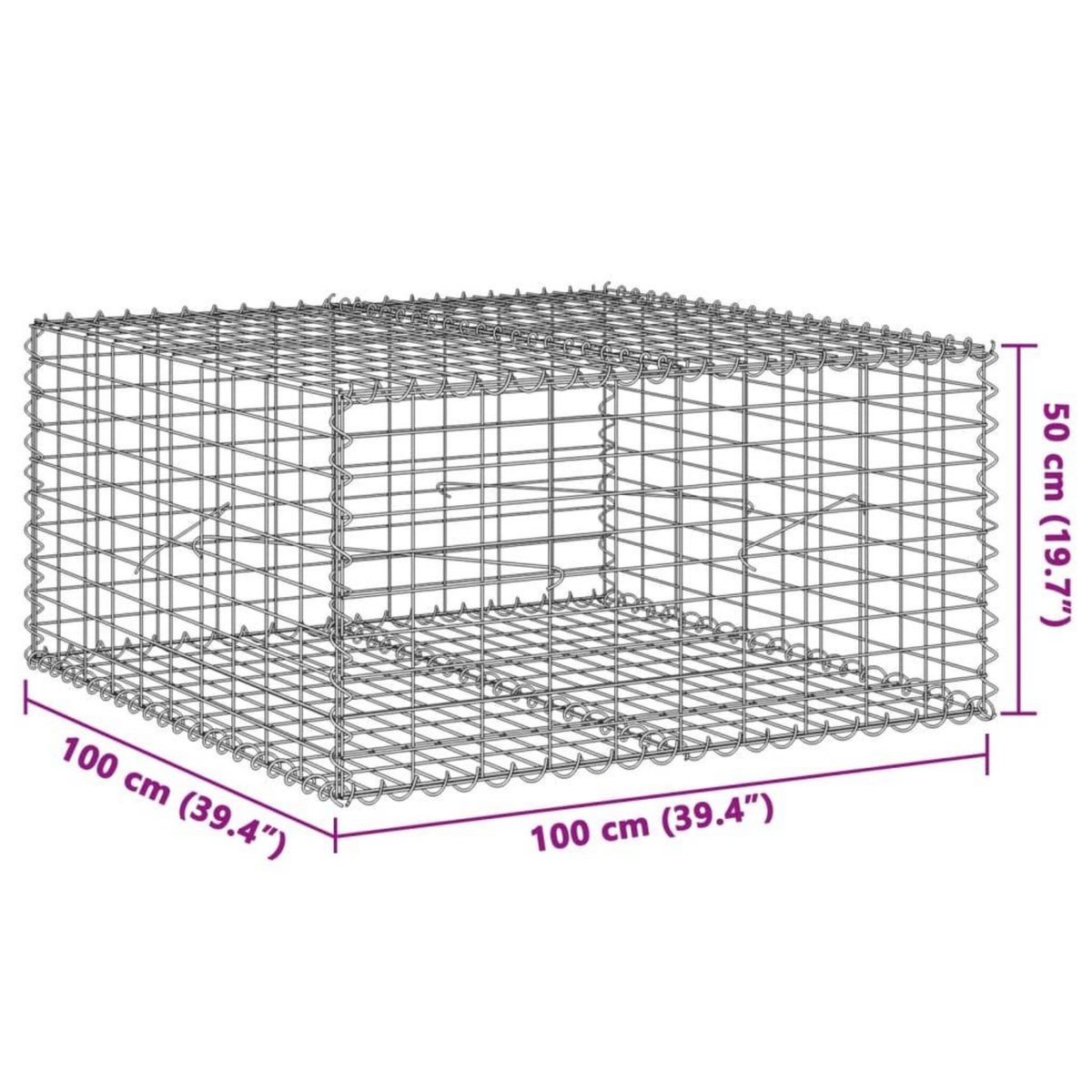 VIDAXL Panier gabion avec couvercle 100x100x50 cm fer galvanise
