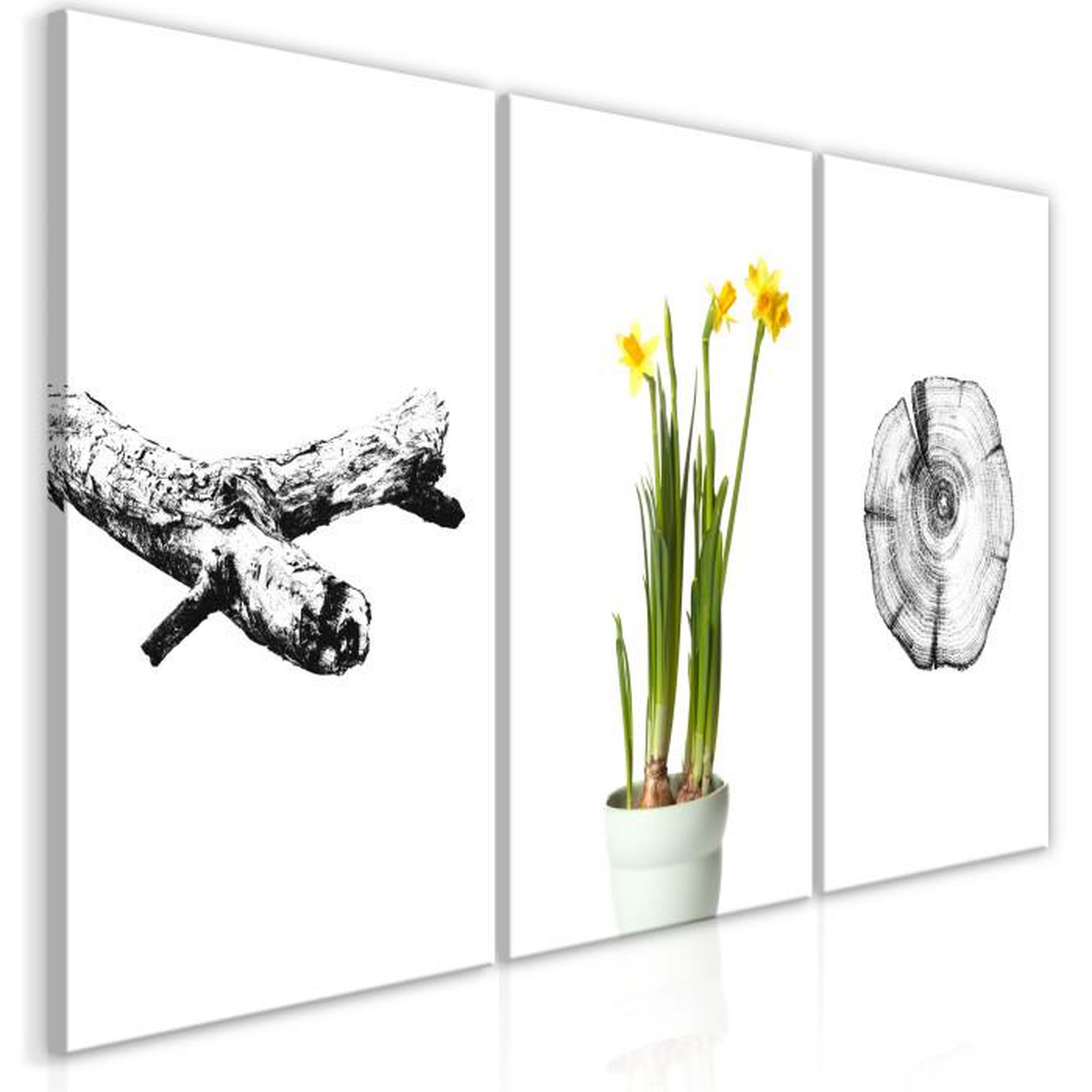 Paris Prix Tableau Imprimé  Nature Collection. Coloris disponibles : Multicolore