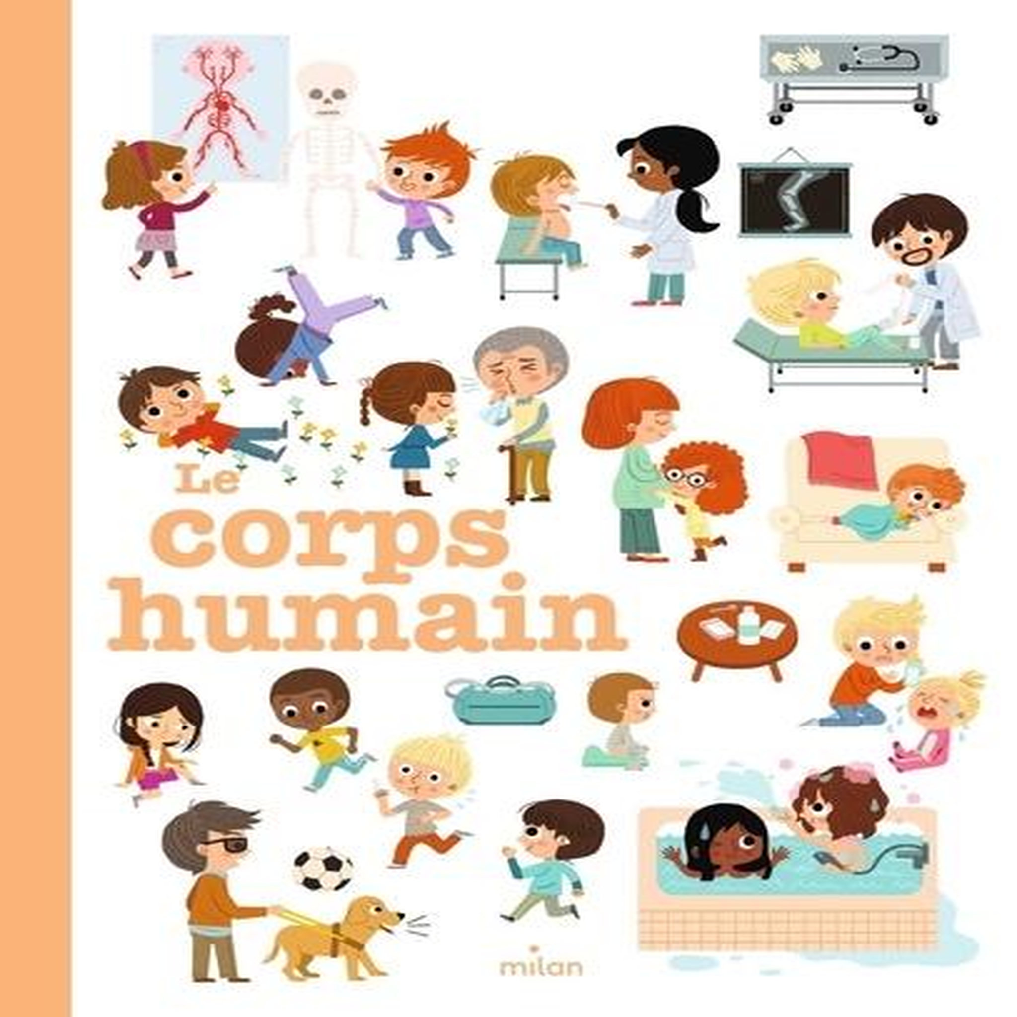 LE CORPS HUMAIN, Ledu Stéphanie