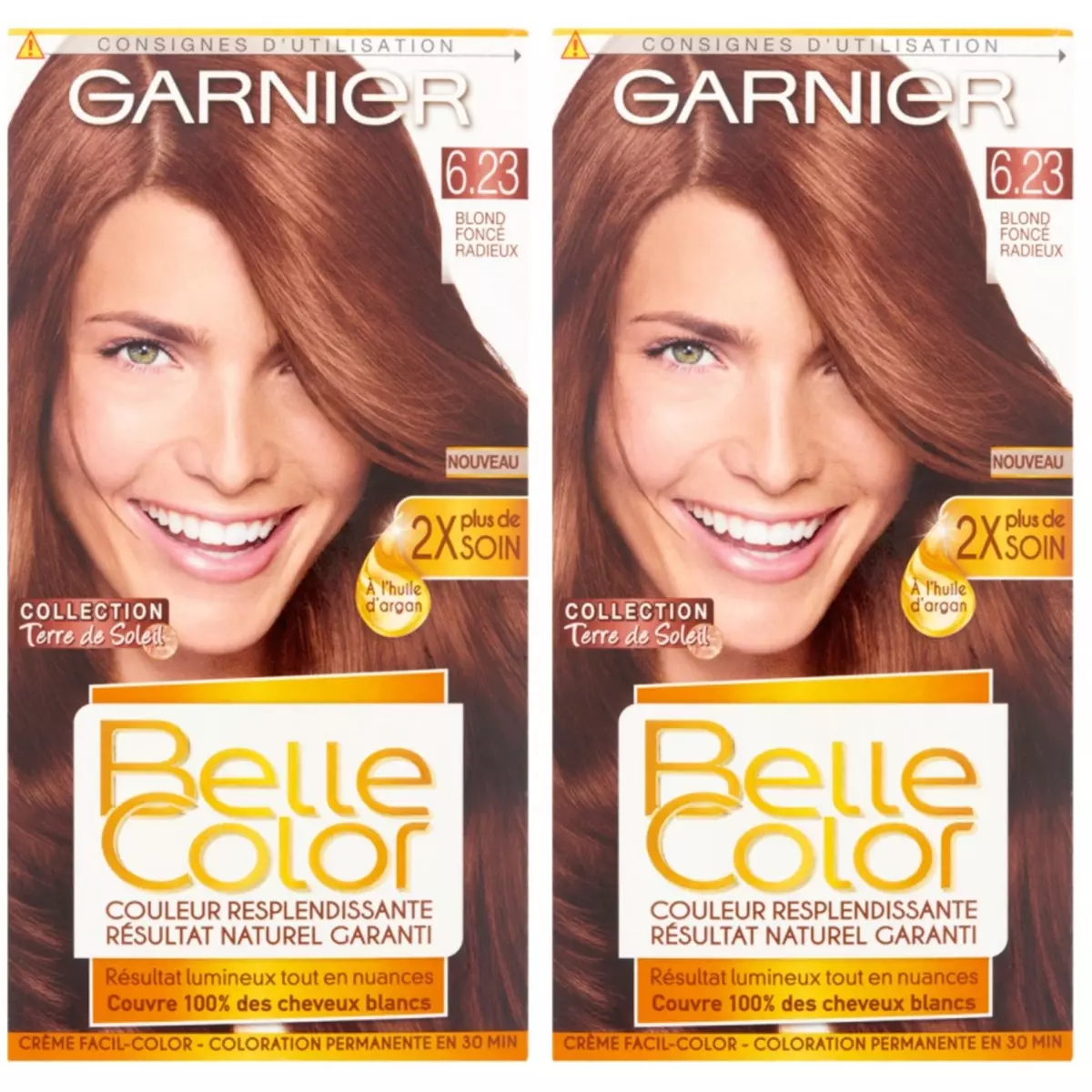 GARNIER Lot de 2 BELLE COLOR Coloration Permanente Résultat Naturel - Couleur Resplendissante 6.23 Blond Halé