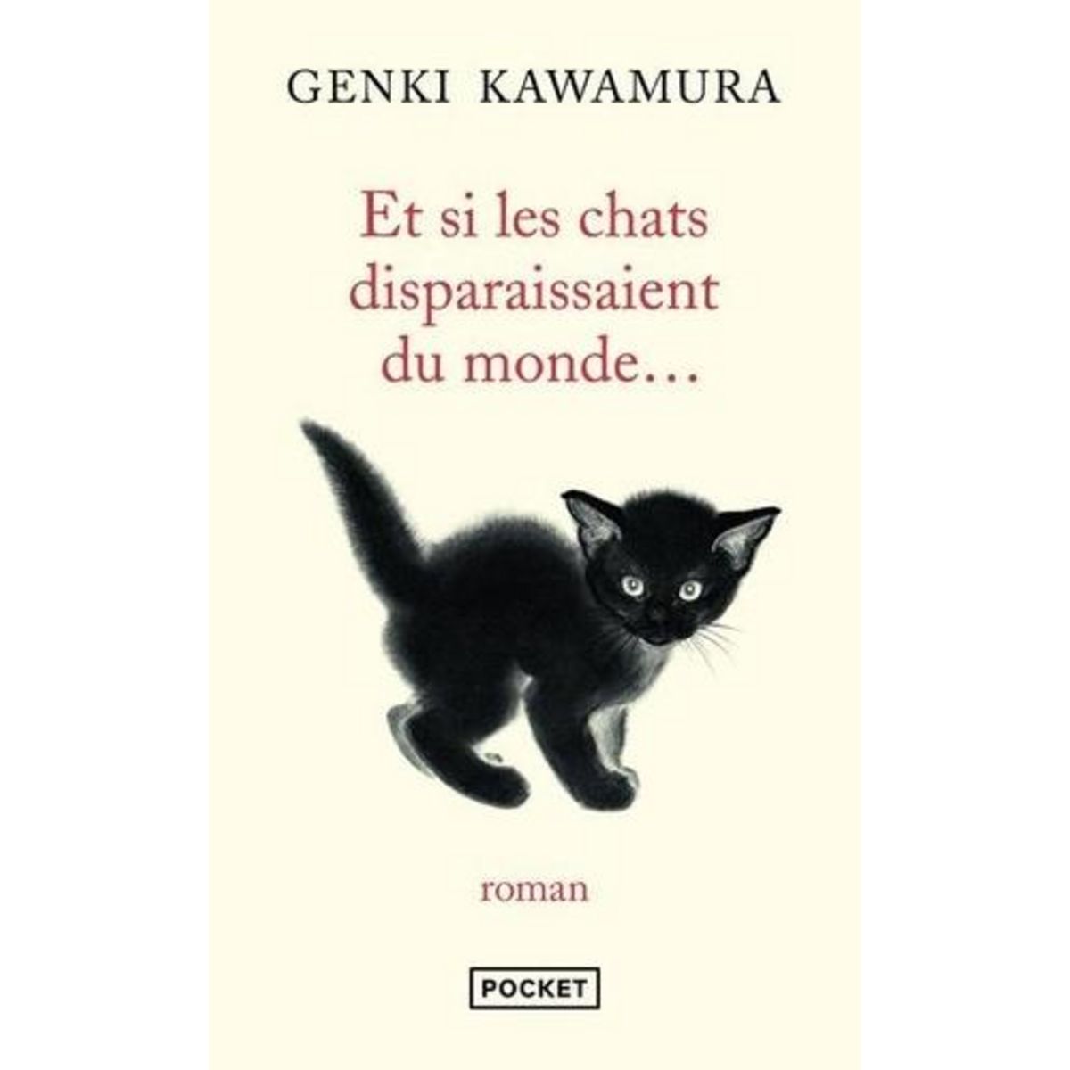 ET SI LES CHATS DISPARAISSAIENT DU MONDE..., Kawamura Genki