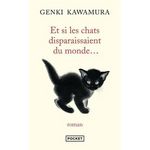 ET SI LES CHATS DISPARAISSAIENT DU MONDE..., Kawamura Genki