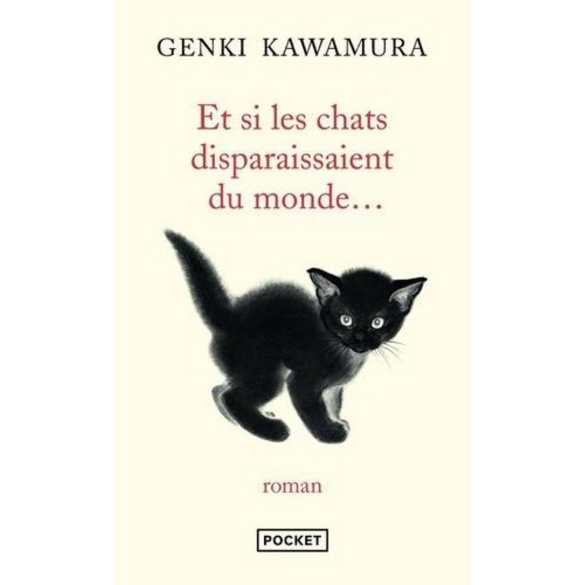 ET SI LES CHATS DISPARAISSAIENT DU MONDE..., Kawamura Genki