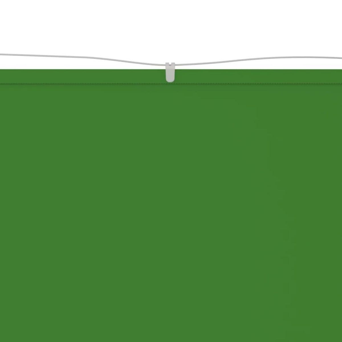VIDAXL Auvent vertical Vert clair 100x270 cm Tissu oxford