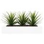 Voir la diapositive 2 : ATMOSPHERA Centre de Table Aloe Vera  Plant  31cm Blanc