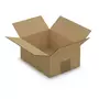 RAJA Carton d'emballage 20 x 15 x 9 cm - Simple cannelure