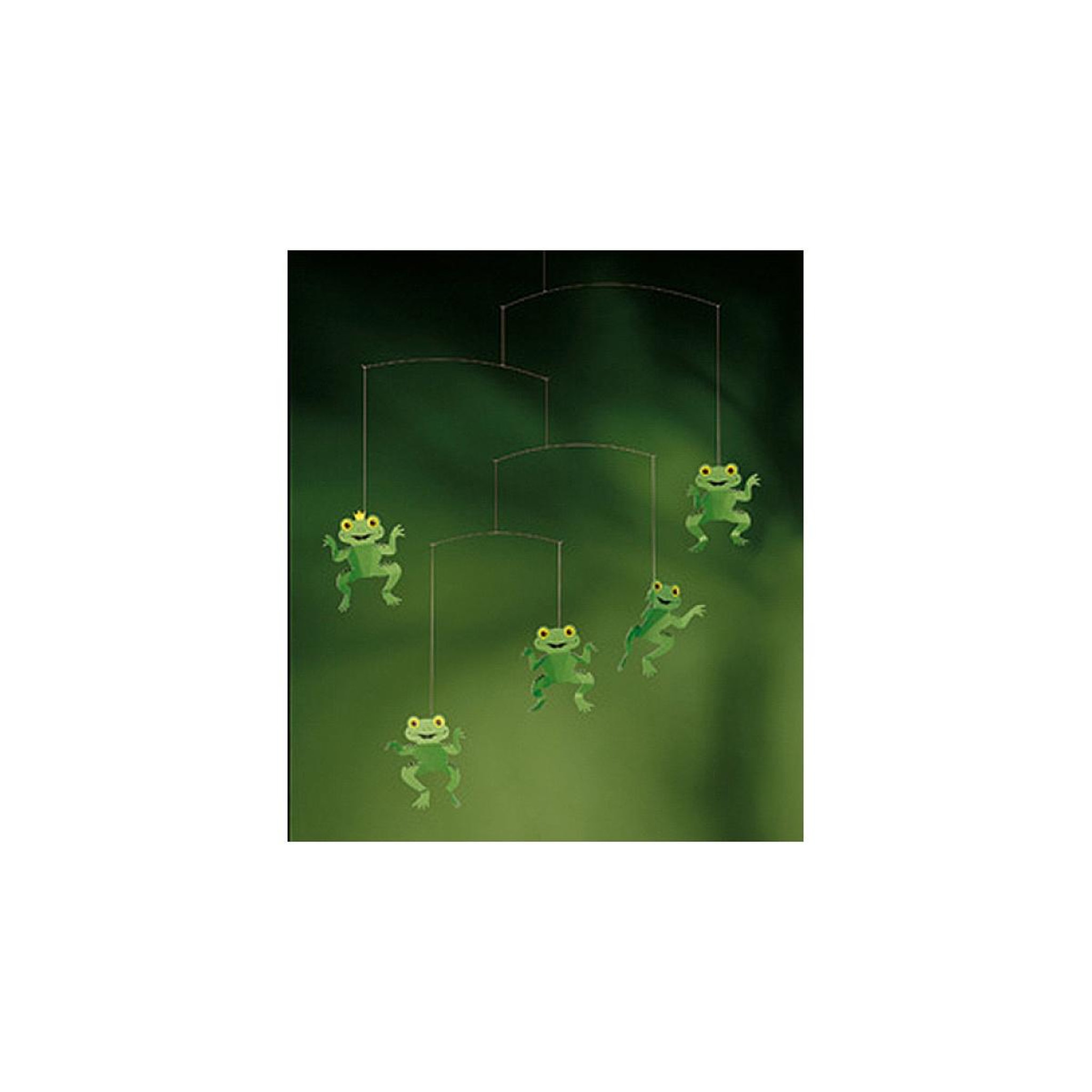 Voir la diapositive 2 : Flensted The happy frog