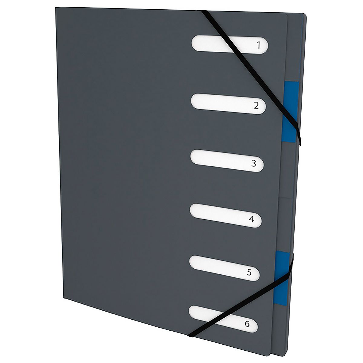 POUCE Trieur 6 positions carton noir