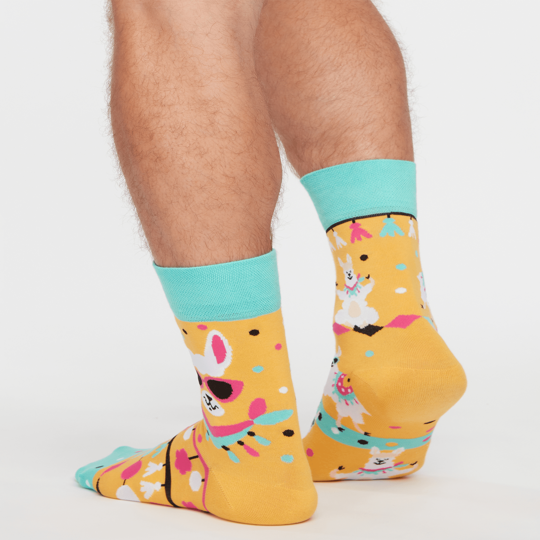 Voir la diapositive 3 : DEDOLES Chaussettes lamas sympas