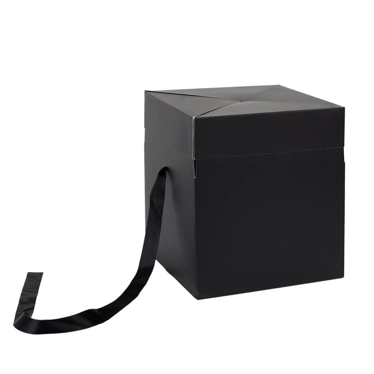 Paris Prix Boîte Cadeau Pliable  Festif  20cm Noir