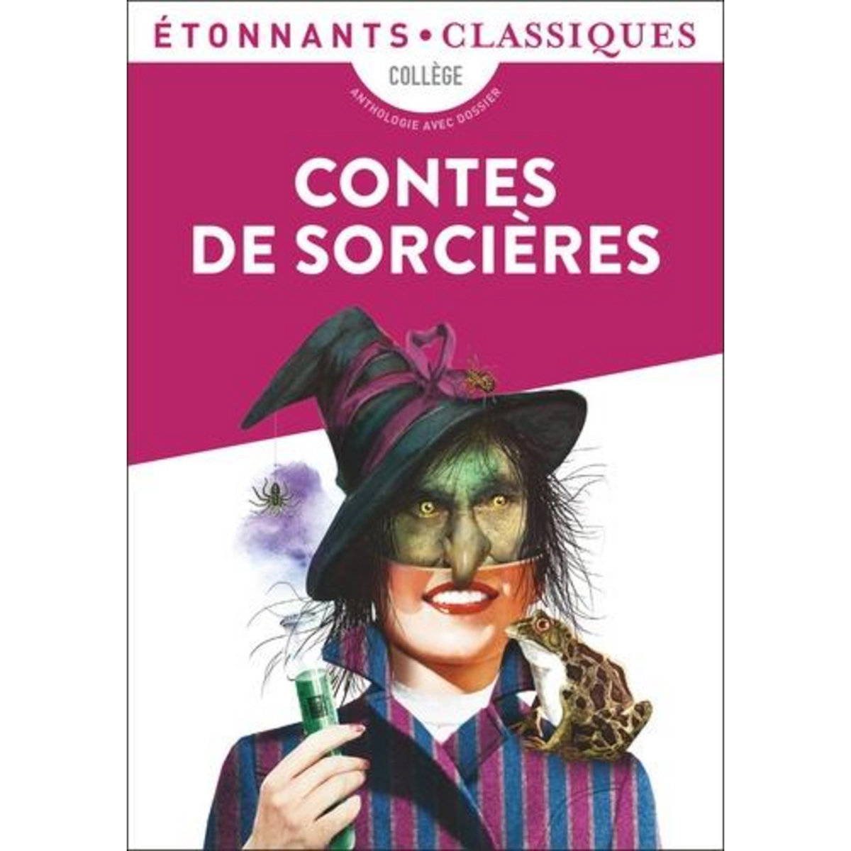 CONTES DE SORCIERES, Foissier Sébastien