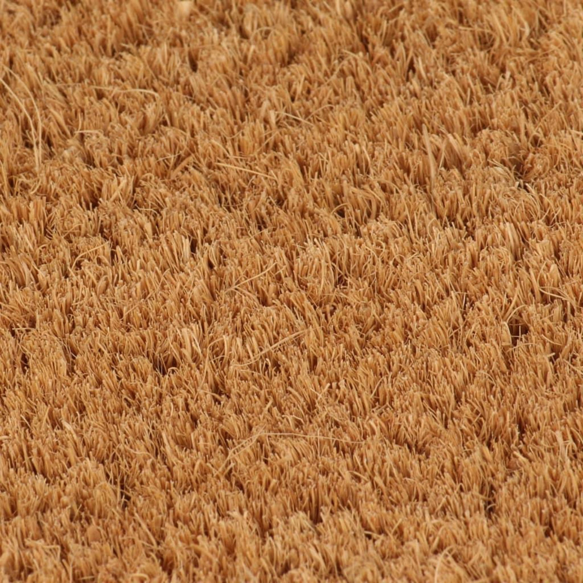 VIDAXL Tapis de porte naturel 90x150 cm fibre de coco touffete