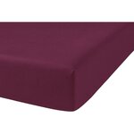 Home collection Drap housse 90x190cm bonnet:25cm 100%coton jus de myrtille