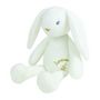 Voir la diapositive 1 : JEMINI LIMINOU Peluche lumineuse lapin +/- 30 cm