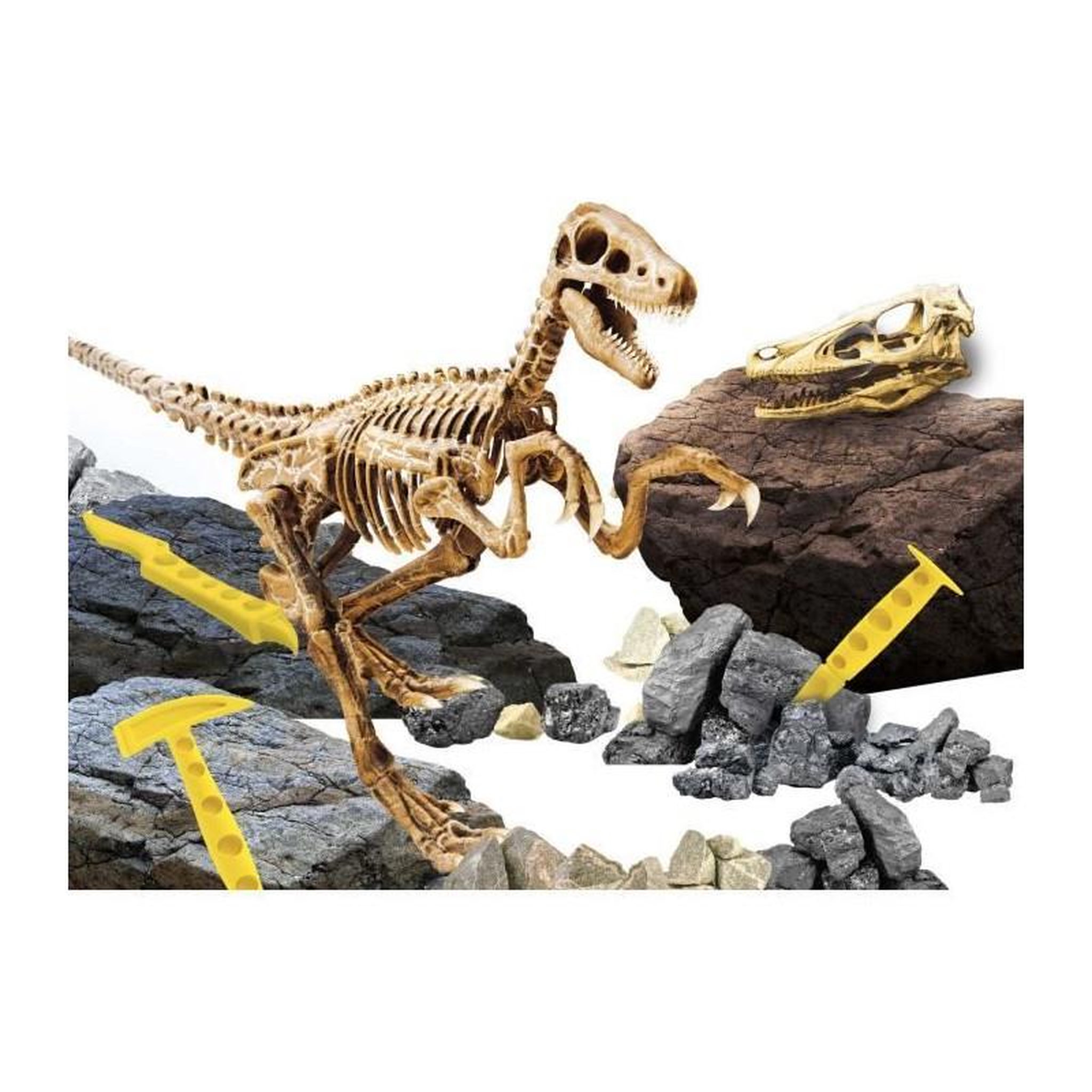 Voir la diapositive 2 : LISCIANI GIOCHI Super kit Velociraptor - Kit Scientifique - I'M A GENIUS - Bloc a creuser