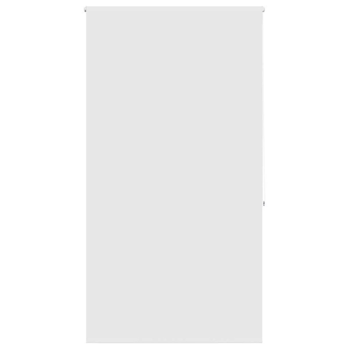 VIDAXL Store enrouleur de douche 120x240 cm largeur du tissu 116 cm