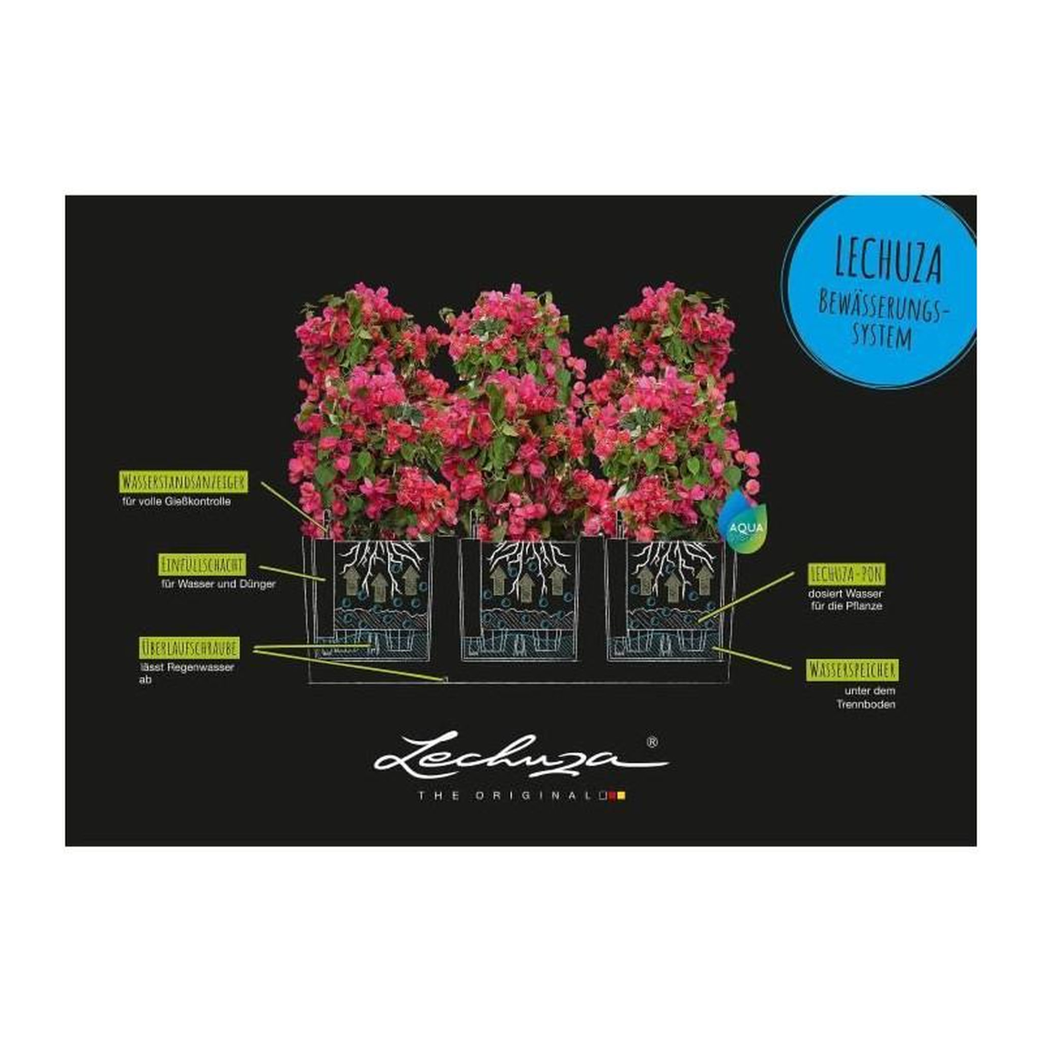 Voir la diapositive 4 : LECHUZA Jardiniere LECHUZA Trio Stone 30 - kit complet, gris pierre - Avec réserve d'eau - Plastique - Rectangulaire