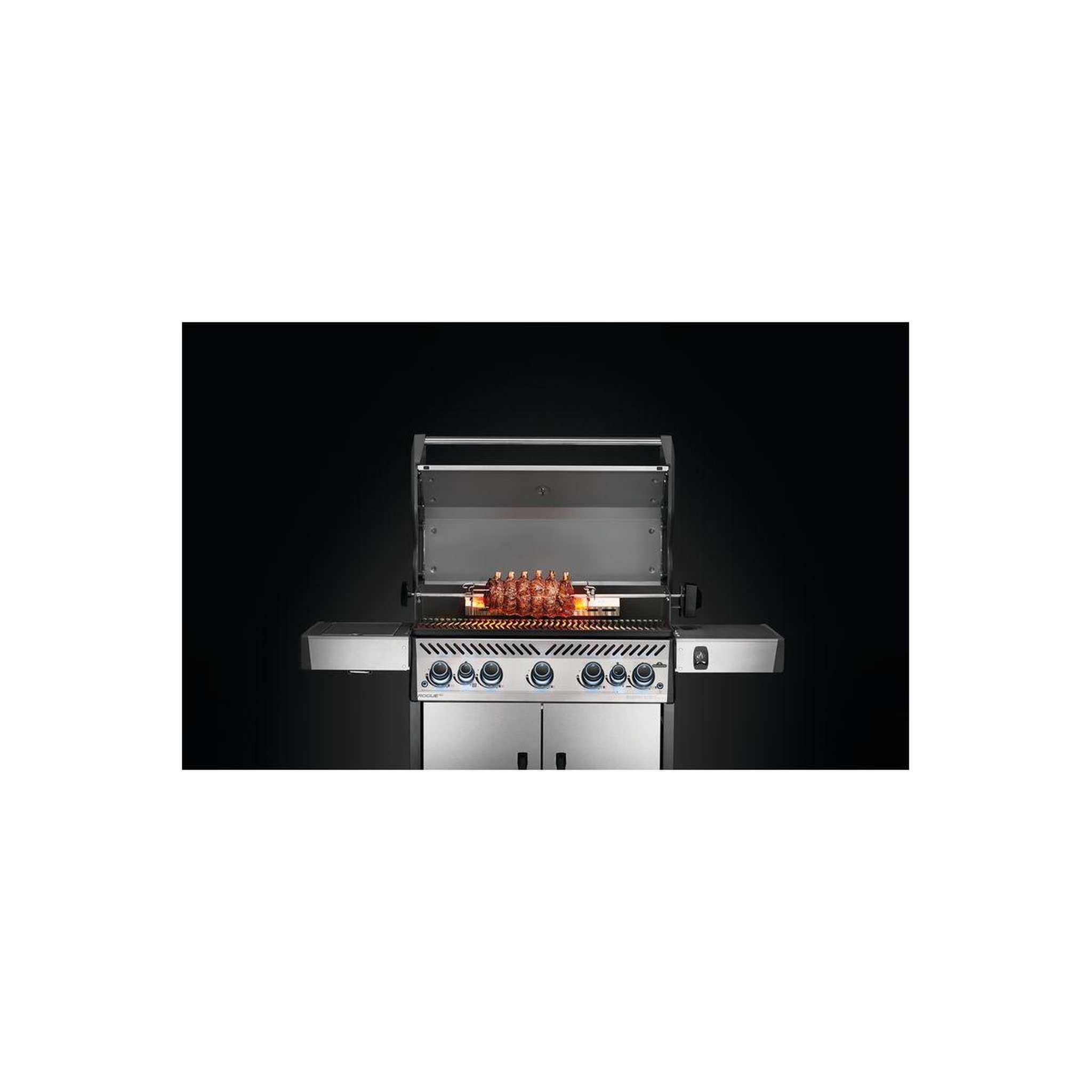Voir la diapositive 2 : NAPOLEON Tourne broche barbecue pour rogue