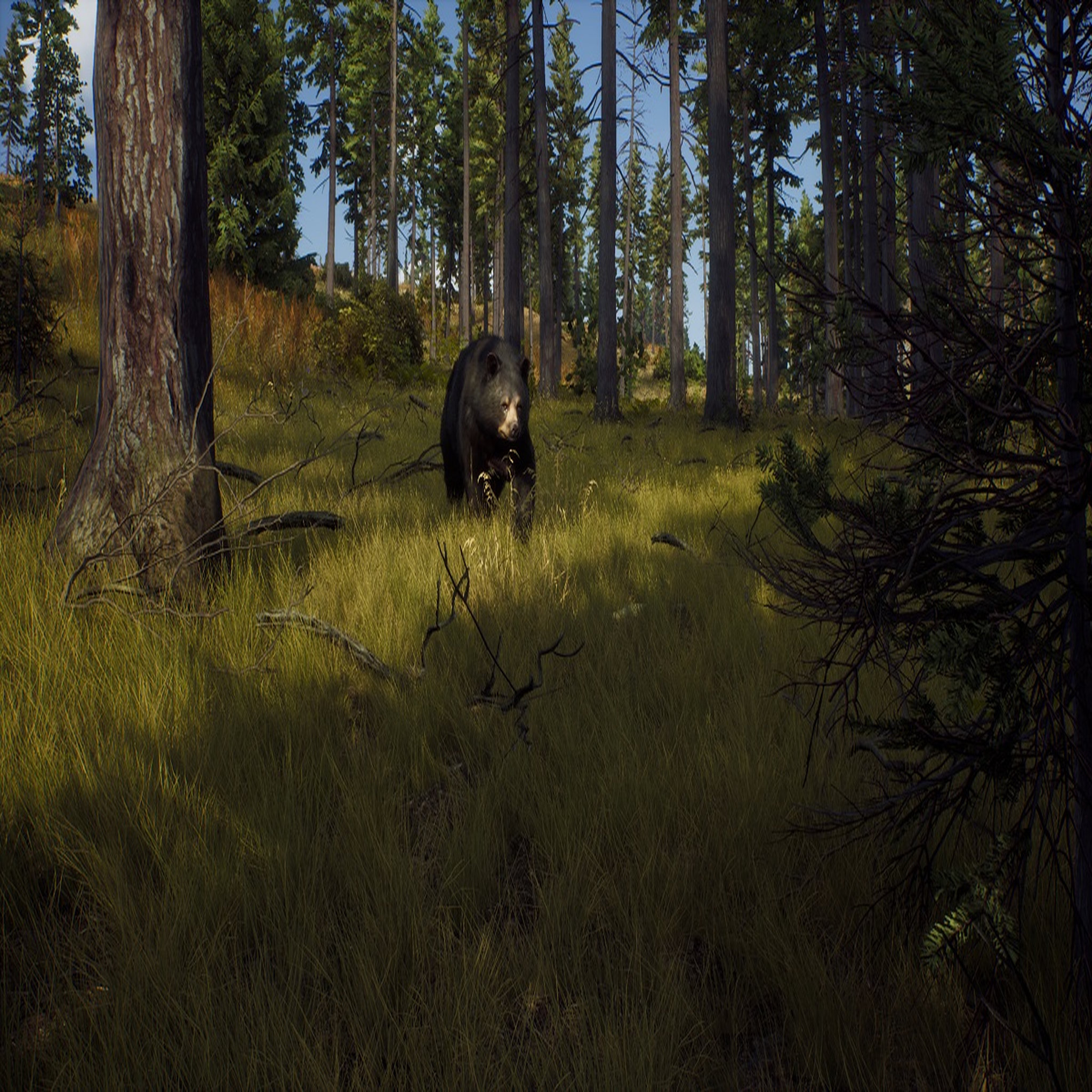 Voir la diapositive 3 : Way Of The Hunter PS5