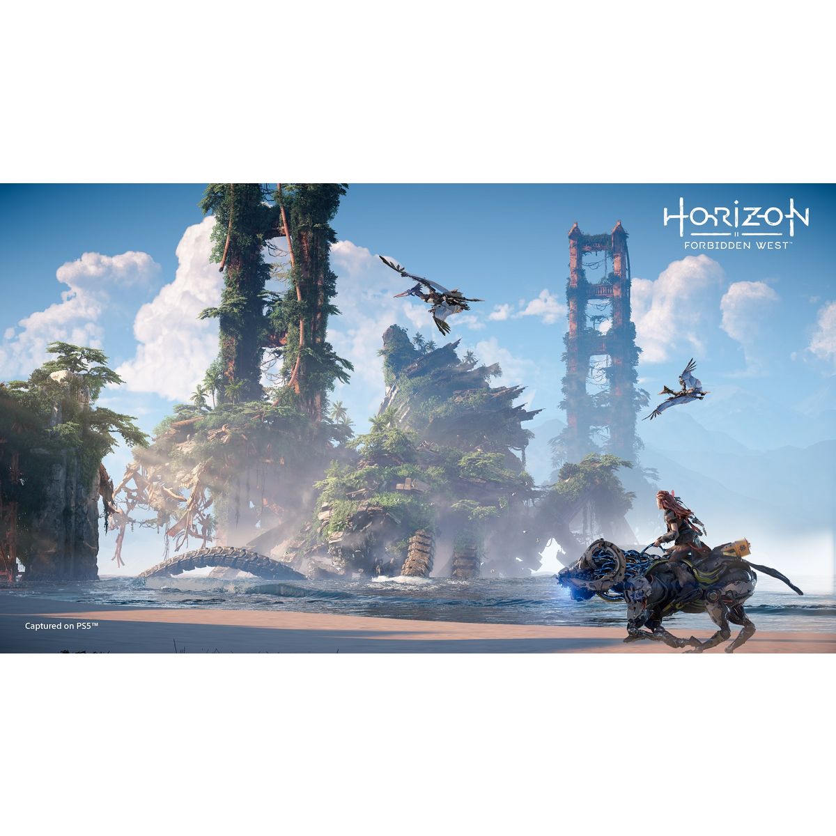 SONY Horizon Forbidden West PS5