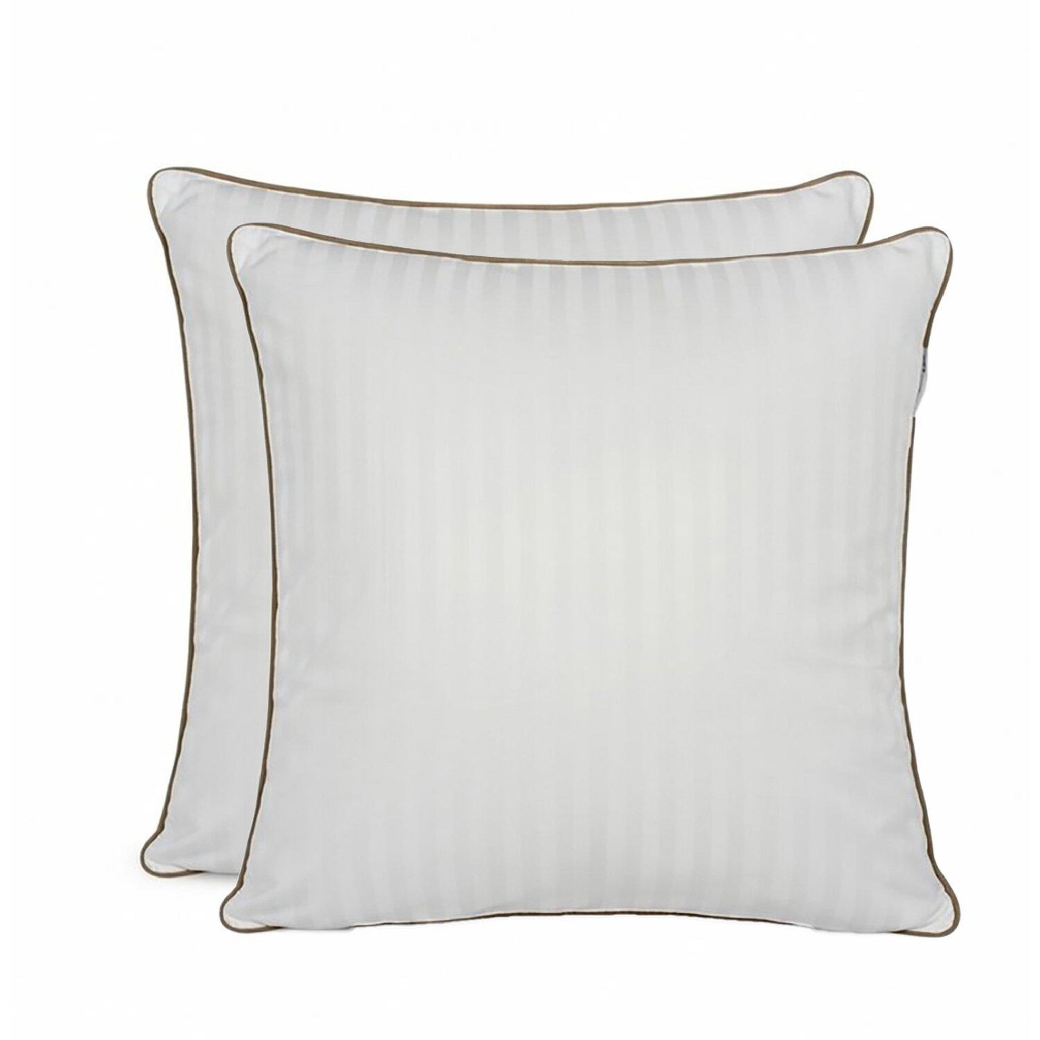 Home collection Lot de 2 oreillers plume de canard blanc. Coloris disponibles : Blanc