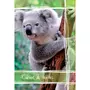 POUCE Cahier de texte grand format nature koala 2020-2021